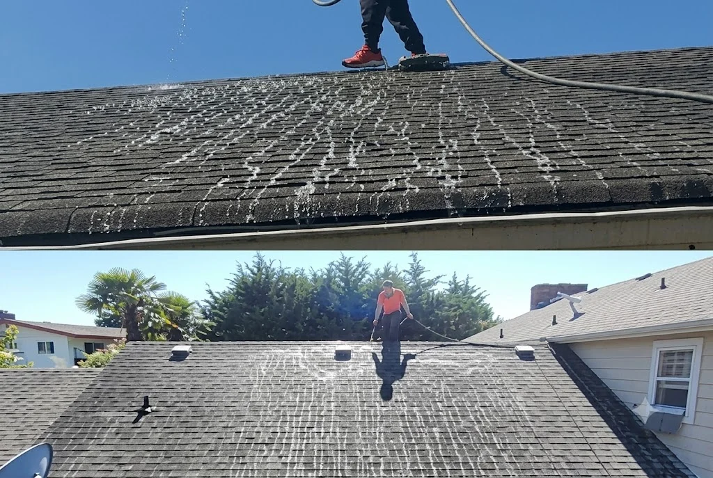 A roofing technician applying sealant along the flashing and seam lines of a residential roof in SeaTac, Washington. The surrounding neighborhood shows typical Pacific Northwest tree cover and overcast sky.